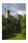 Lismore Castle by Anonymous