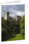 Lismore Castle by Anonymous