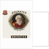 Socrates Cigar Box Label by Anonymous