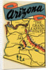 Arizona Travel Decal by Anonymous