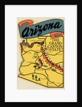 Arizona Travel Decal by Anonymous