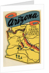 Arizona Travel Decal by Anonymous