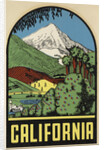 California Travel Decal by Anonymous