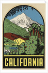 California Travel Decal by Anonymous