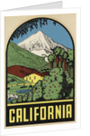 California Travel Decal by Anonymous