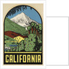 California Travel Decal by Anonymous