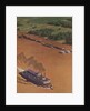 Illustration of Riverboat on Mississippi River by Anonymous