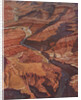 Illustration of the Grand Canyon and Colorado River by Anonymous