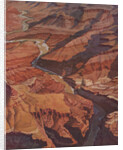 Illustration of the Grand Canyon and Colorado River by Anonymous