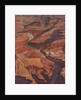 Illustration of the Grand Canyon and Colorado River by Anonymous