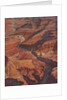 Illustration of the Grand Canyon and Colorado River by Anonymous