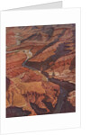 Illustration of the Grand Canyon and Colorado River by Anonymous
