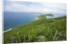 Hills and Ocean View on Virgin Gorda by Anonymous