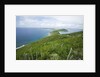 Hills and Ocean View on Virgin Gorda by Anonymous
