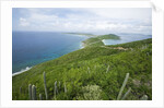 Hills and Ocean View on Virgin Gorda by Anonymous
