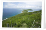 Hills and Ocean View on Virgin Gorda by Anonymous