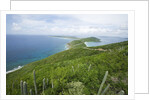 Hills and Ocean View on Virgin Gorda by Anonymous