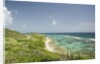 Countryside and Ocean on St. Croix by Anonymous