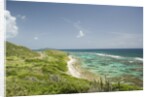 Countryside and Ocean on St. Croix by Anonymous