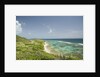 Countryside and Ocean on St. Croix by Anonymous