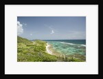 Countryside and Ocean on St. Croix by Anonymous
