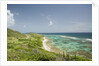 Countryside and Ocean on St. Croix by Anonymous