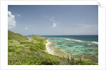 Countryside and Ocean on St. Croix by Anonymous