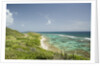 Countryside and Ocean on St. Croix by Anonymous