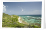 Countryside and Ocean on St. Croix by Anonymous