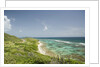 Countryside and Ocean on St. Croix by Anonymous