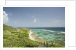 Countryside and Ocean on St. Croix by Anonymous