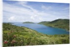 North Sound, Virgin Gorda by Anonymous