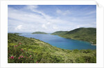 North Sound, Virgin Gorda by Anonymous