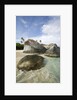 Beach at The Baths by Anonymous