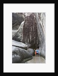 Couple Pointing at Rocks at The Baths by Anonymous