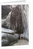 Couple Pointing at Rocks at The Baths by Anonymous