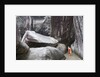 Woman next to Rocks at The Baths by Anonymous