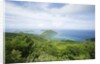 Hilltop and Ocean on Virgin Gorda by Anonymous
