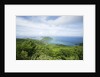 Hilltop and Ocean on Virgin Gorda by Anonymous