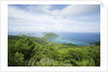 Hilltop and Ocean on Virgin Gorda by Anonymous