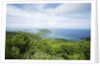 Hilltop and Ocean on Virgin Gorda by Anonymous