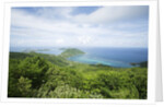 Hilltop and Ocean on Virgin Gorda by Anonymous
