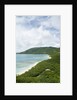 View towards Savannah Bay Beach, Virgin Gorda, British Virgin Islands by Anonymous