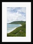 View towards Savannah Bay Beach, Virgin Gorda, British Virgin Islands by Anonymous