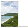 View towards Savannah Bay Beach, Virgin Gorda, British Virgin Islands by Anonymous