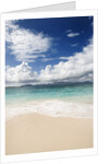 Rendezvous Bay, Anguilla by Anonymous