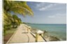 Waterfront Path on Beach by Anonymous