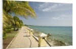 Waterfront Path on Beach by Anonymous