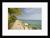 Waterfront Path on Beach by Anonymous