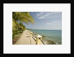 Waterfront Path on Beach by Anonymous